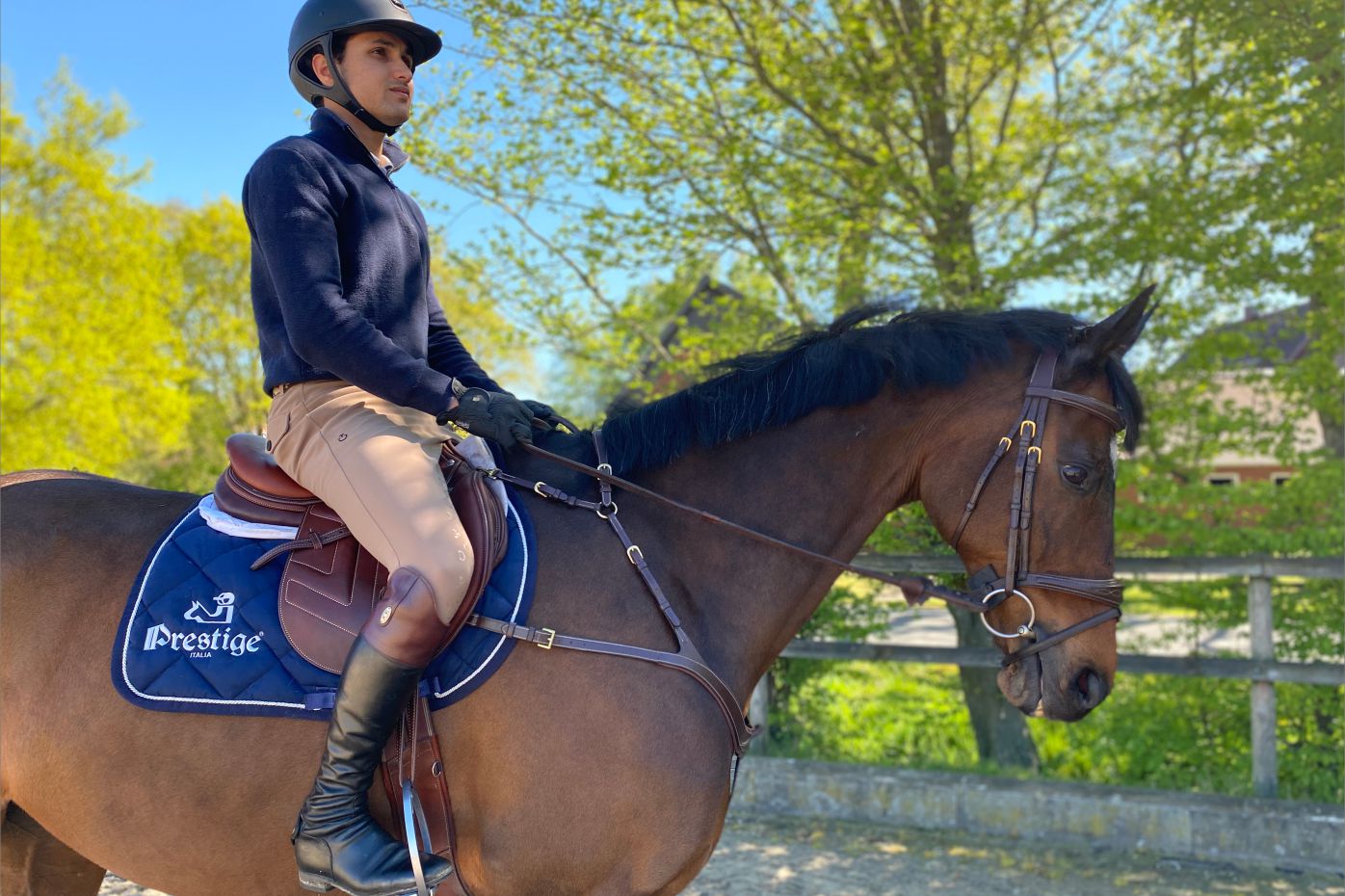 Looking After Horses With Fouaad Mirza