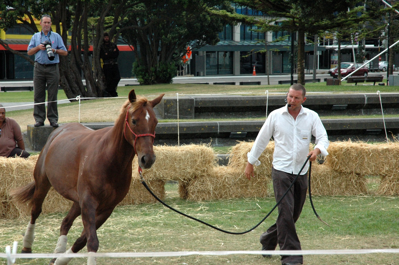 Horse Whispering Real Or Not! | LA POLO x Andrew Froggatt