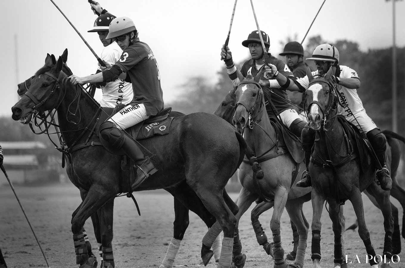 The Best Quotes From The Realm Of Polo